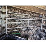 NISSAN PICK UP, TERRANO II 2.4 04.92-09.07 стартер 60 евро алтернатори скоростни кутии авточасти 0884333269