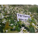 Ем Комплект - продава монтира ремонтира тегличи за камиони, бусове, джпове, реки коли, таратайки Дружба 0884333265 Костинброд 0884333263