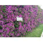 Ем Комплект - продава монтира ремонтира тегличи за камиони, бусове, джпове, реки коли, таратайки Дружба 0884333265 Костинброд 0884333263