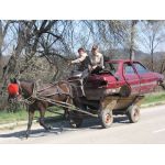 Акумулатори за коли бусове, камиони и каруци 12V 24V 225 (Ah) за камиони цена 407 лева продава Ем Компл ект Костинброд 0884333263