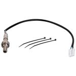 FE179541-мицубиши-каризма-ламбда-сонда-задна-колата-дружба