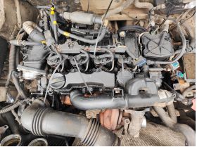 Citroen BERLINGO (1996- 1.6 хди дюза дюзи  50 евро 0884333269  C3 I, C4, C4 I, JUMPY II, XSARA PICASSO; FIAT SCUDO; FORD C-MAX, FIESTA V, FIESTA VI, FOCUS C-MAX, FOCUS II, FOCUS II/KOMBI 1.6D 07.04