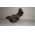 CITROEN C4, C4 GRAND PICASSO I, C4, C5 II, C5 III, C5 PEUGEOT  308, 308 I 2.0D 10.03- турбо 180 лв Ем Комплект 0884333269