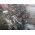 Citroen C4  1.6 хди Двигател 1.6 HDI  цена 400 евро лв ем Комплект 0884333269 CITROEN BERLINGO C2 C3 C4 C5 XSARA FORD C-MAX FOCUS MAZDA 3 MINI MINI PEUGEOT 1007 206 207 3008 307 308 407 5008 PARTNER VOLVO C30 S40 S80 V50 V70