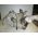 Скоростна кутия Peugeot BOXER Fiat Ducato 2.5 TDI / D 1994 - 2002  800 лева  Ем Комплект 0884333269  2.5TD 116cv 20KM20