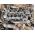 Citroen BERLINGO (1996- 1.6 хди дюза дюзи  50 евро 0884333269  C3 I, C4, C4 I, JUMPY II, XSARA PICASSO; FIAT SCUDO; FORD C-MAX, FIESTA V, FIESTA VI, FOCUS C-MAX, FOCUS II, FOCUS II/KOMBI 1.6D 07.04