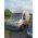 Двигател  FIAT DUCATO (244, Z_) 2.8 JTD 128 K.C цена  1000 лева  Ем Комплект 0884333269