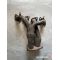 ALFA ROMEO 145, 146, 156, GTV, SPIDER 1.8/2.0 10.95-05.06 изпускателен колектор 30 евро 0884333269 гърнета