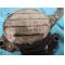 AUDI A3; 1.9SDI/1.9TDI 09.96- вакуум помна 30 лв ем комплект 0884333269 SEAT IBIZA, LEON; SKODA FABIA, OCTAVIA; VW BORA, GOLF IV, POLO 1.9SDI/1.9TDI 09.96-