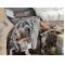 CITROEN BERLINGO 1.5D-2.0D 11.95-12.15 перка радиатор 35 лв радиатор 45 лв Ем Комплект 0884333269 XSARA, XSARA/HATCHBACK, XSARA/KOMBI; PEUGEOT 306, 306/HATCHBACK, 406, PARTNER, PARTNER/MINIVAN