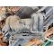 VW POLO 1.4CC AEX 95-01 всмукателен колектор 70 лв Ем Комплект 0884333269