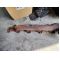 Mercedes C LK W209 (2002 2.7D/3.0D 07.99-05.09- колектор изпускателен цена 120 лева  0884333269 MERCEDES C (CL203), C T-MODEL (S203), C (W203), CLK (C209), E T-MODEL (S210), E (VF210), E (W210), G (W461), G (W463), M (W163), SPRINTER 2-T (B901